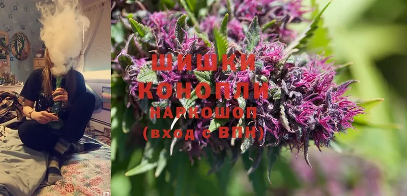 Бошки марихуана SATIVA & INDICA  купить наркоту  Курск 